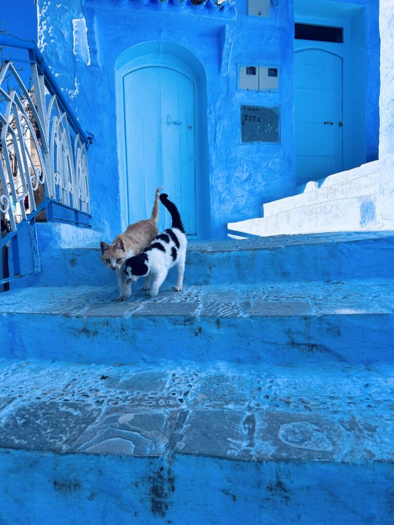 blue town / moujane