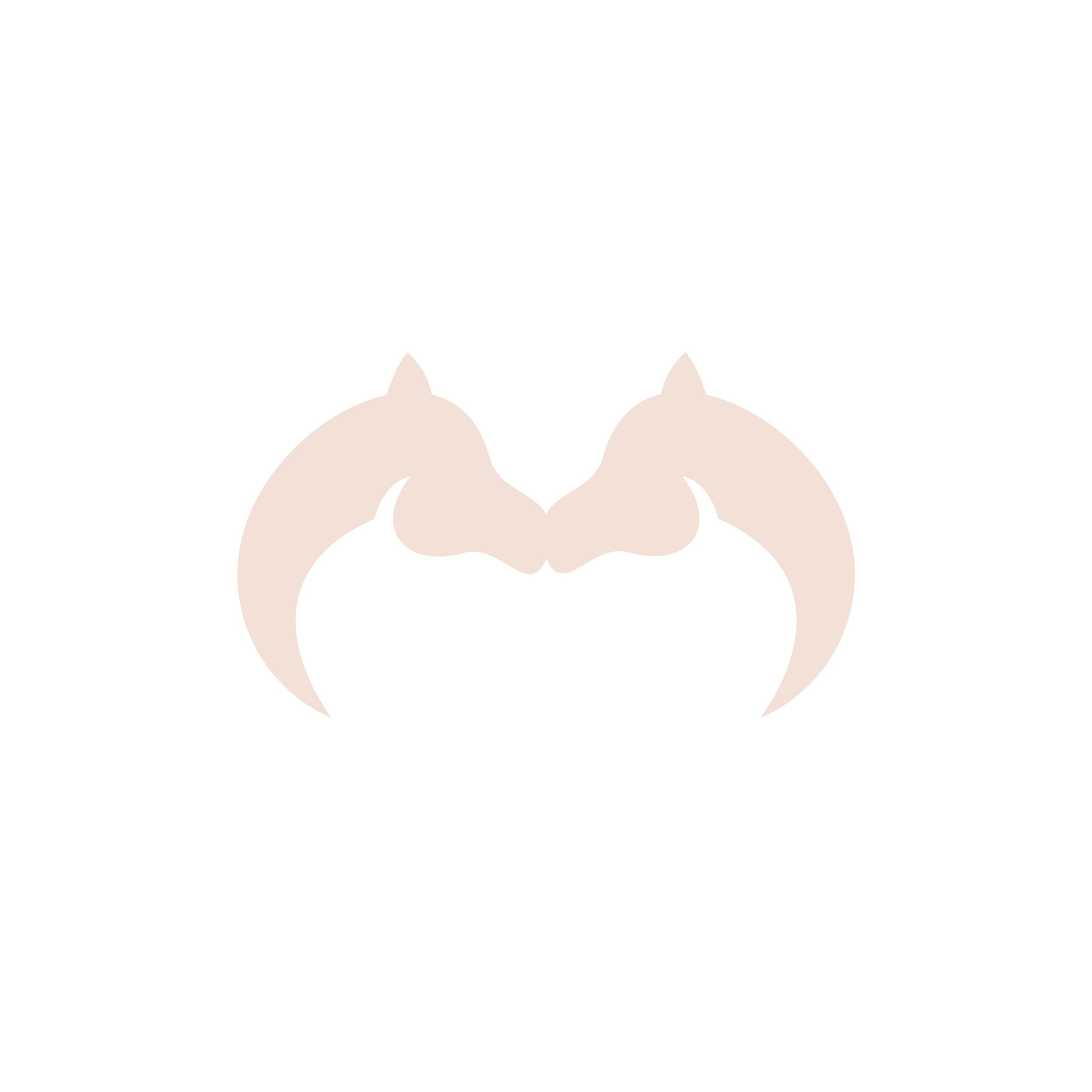 MOUJANE TOURS